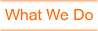 beardeddragoncs.com002004.png