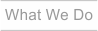 tab%20what%20we%20do%20grey.png